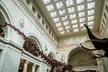 Uncover Wonders at the Field Museum with an Audio Guide -  0% Off - Second Medium