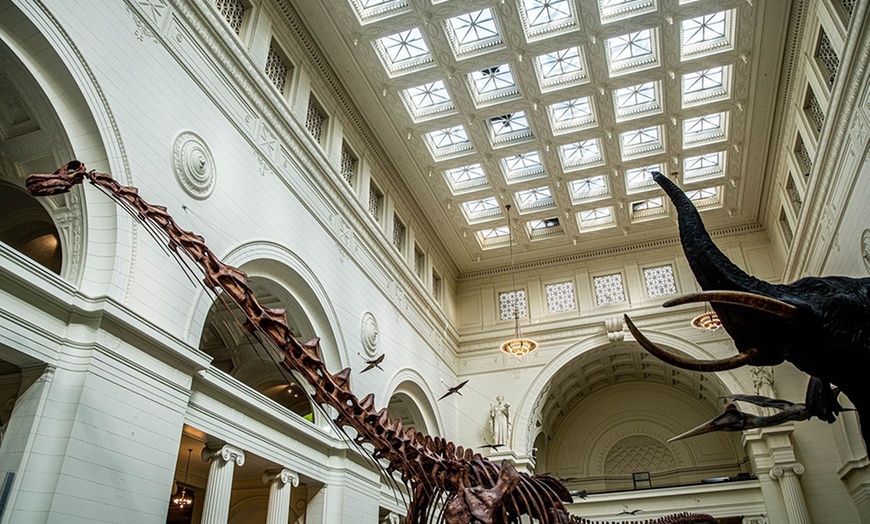 Image 5: Uncover Wonders at the Field Museum with an Audio Guide
