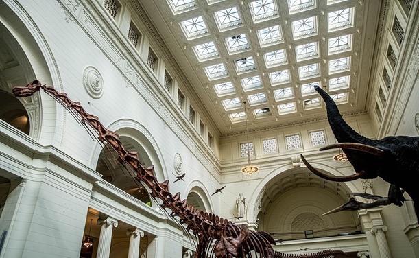 What to expect media