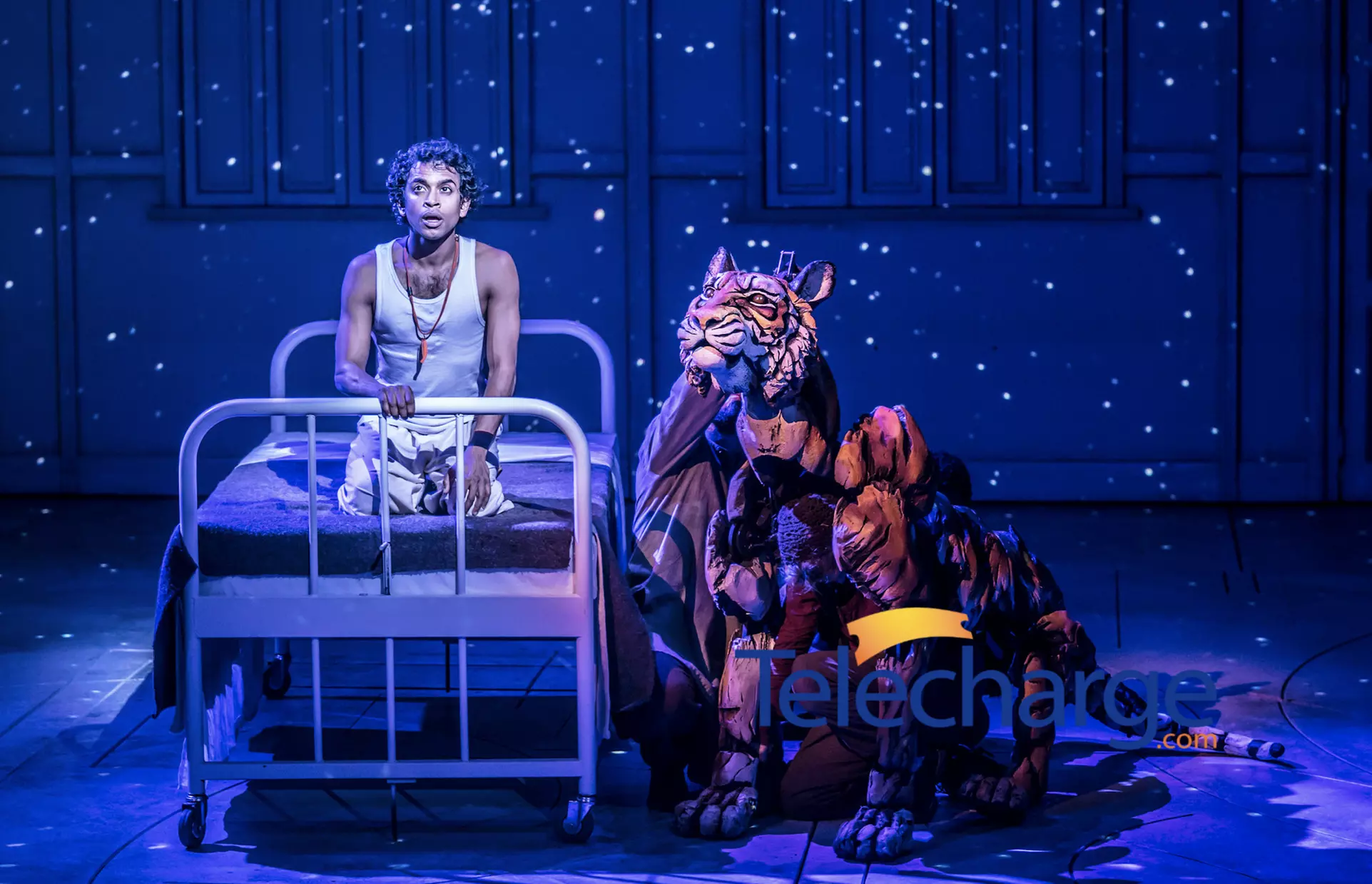 Life of Pi (Through July 23) - Primary Image