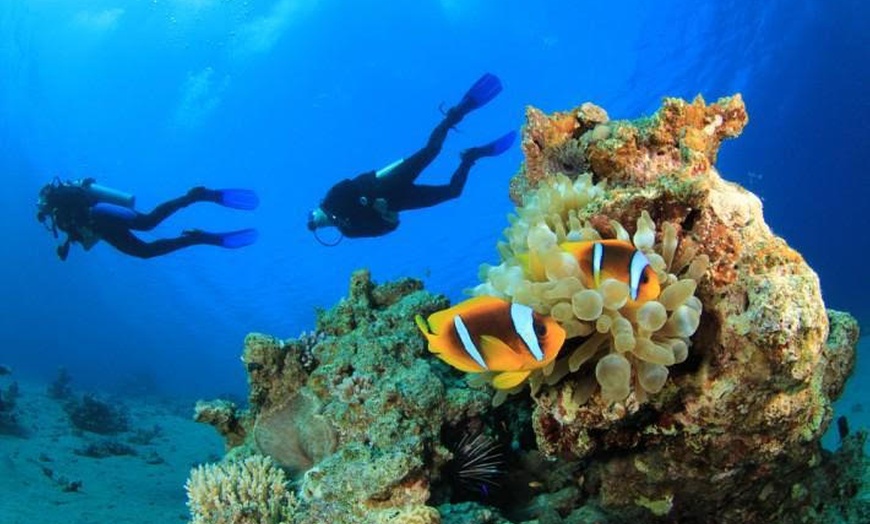 Image 4: Dive, Snorkeling or Boat Trip in Fujairah