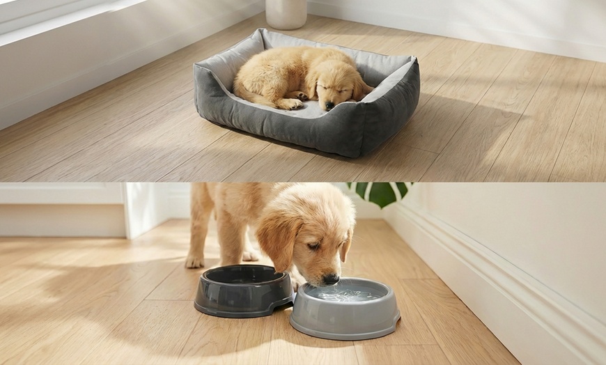 Image 3: Kit completo de accesorios para perros con cama, cuencos y juguete