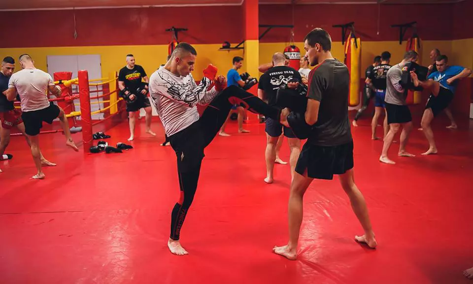 Sztuki walki oraz siłownia