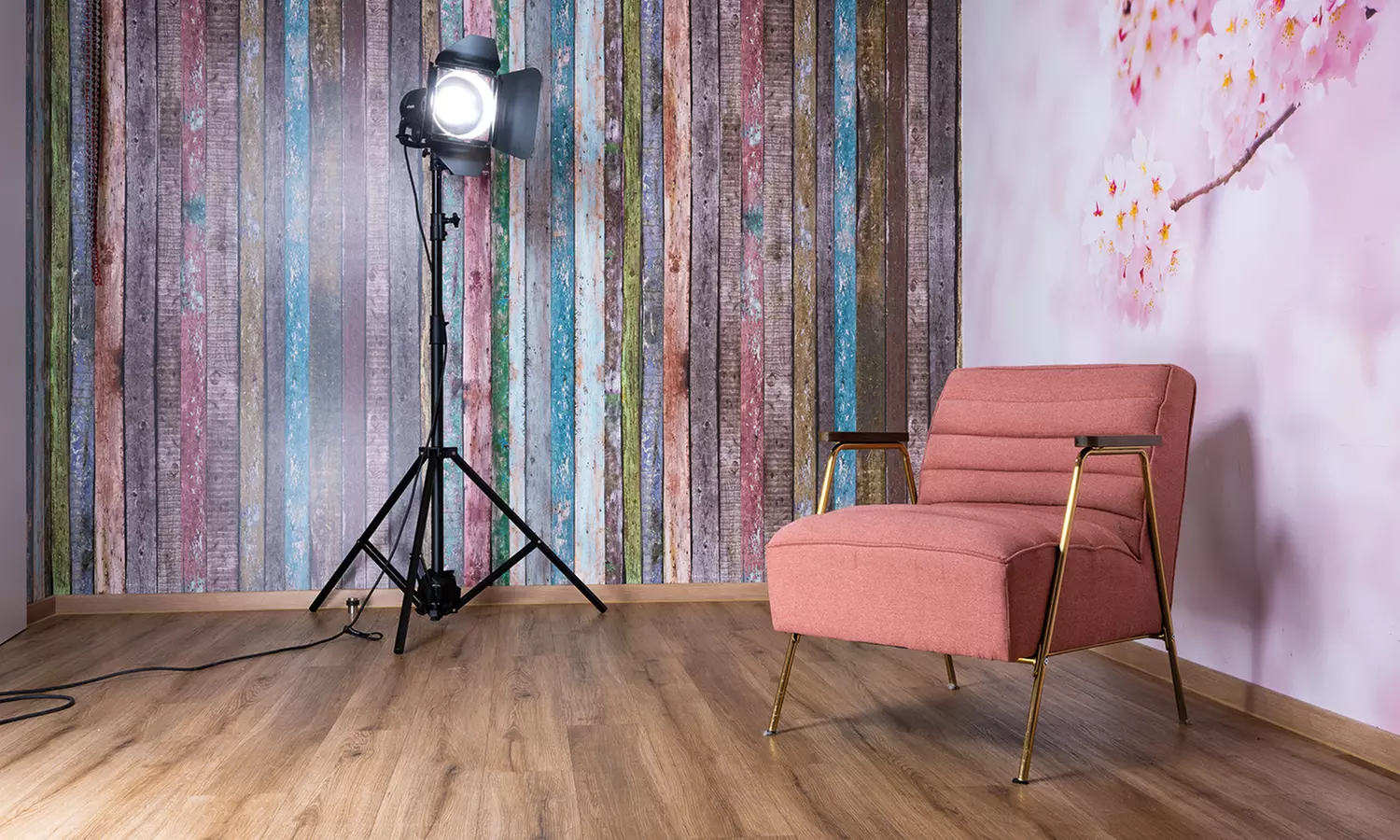 60 Min. studioline PHOTOGRAPHY Fotoshooting Erlebnis + Goldcard