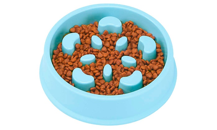 Dog Feeder Slow Eating Pet Bowl Groupon