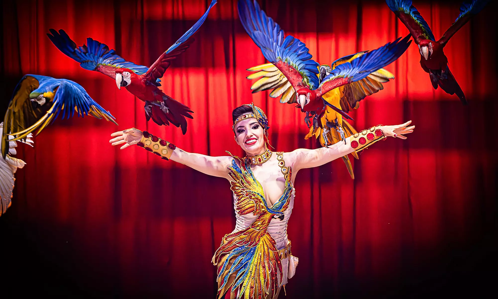 1 Ticket für den Zirkus Charles Knie an verschiedenen Terminen