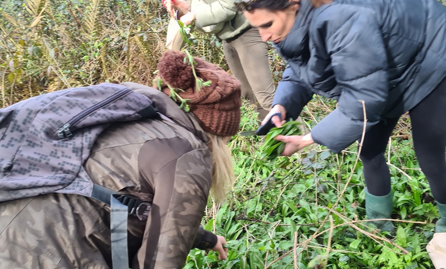 Image 4: Join the Adventure: Two or Four Person Foraging Tour Howth