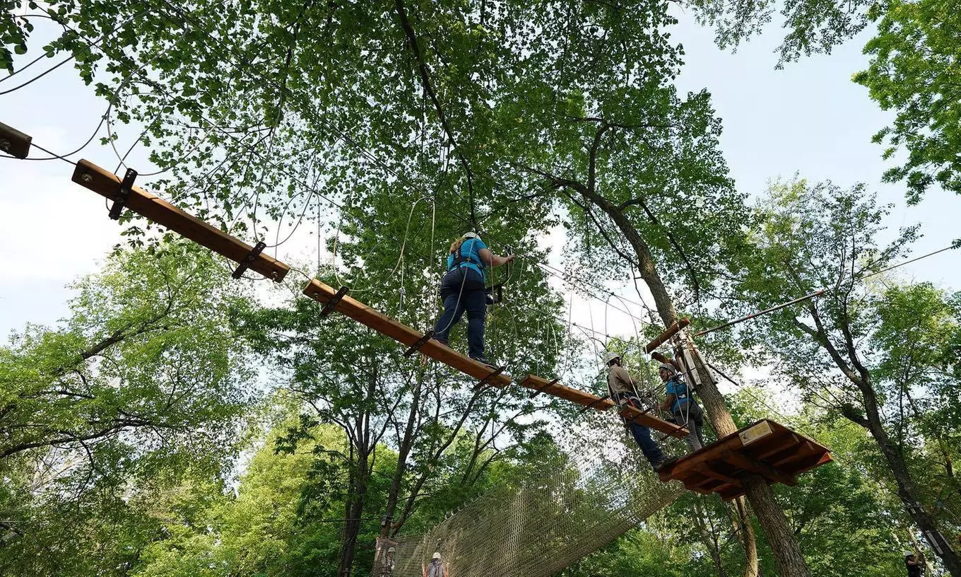Admission for One at Tree Top Adventures, Grown by Barton Orchards Through November 30 (30% Off) - Primary Image