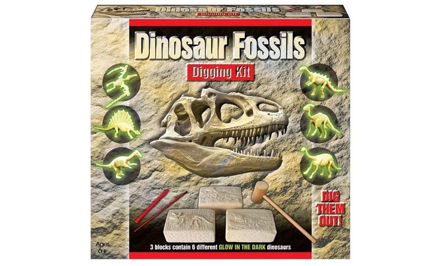 Image 5: Dinosaur Fossils Digging Kit 