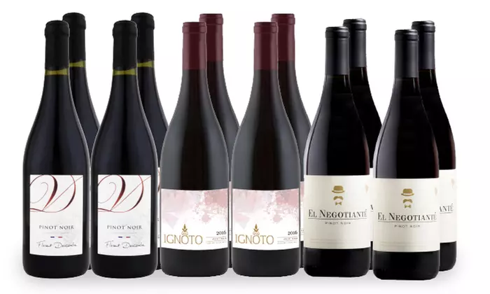6, 12, or 15 Bottles of Pinot Noir Wine from Splash Wines (Up to 80% Off) - Primary Image