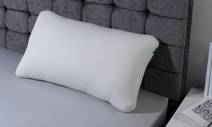 Antibacterial Memory Foam Pillow