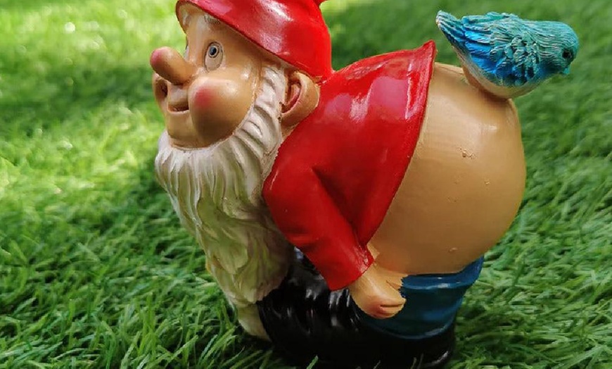 Image 4: Funny Gnome