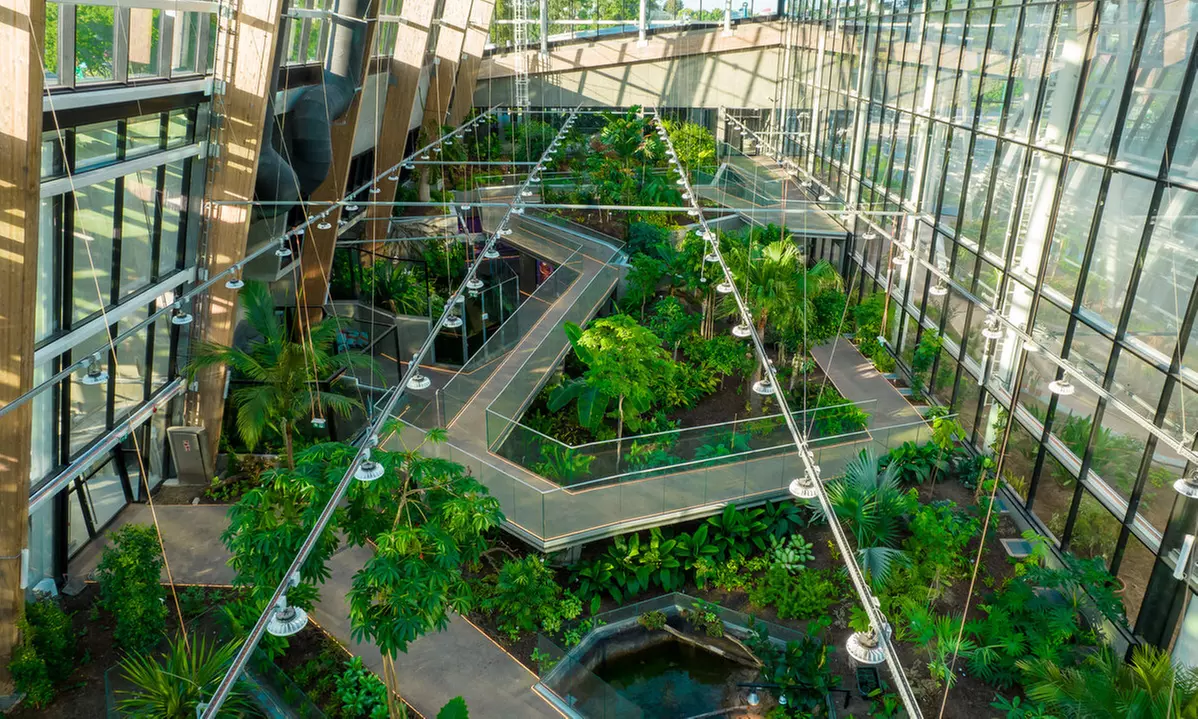 Zobacz z bliska egzotyczne rośliny i zwierzęta: bilety do Egzotarium