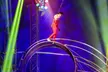 Experience the Thrill of Circus Vegas from February 21 to 25, 2024 - Image 4