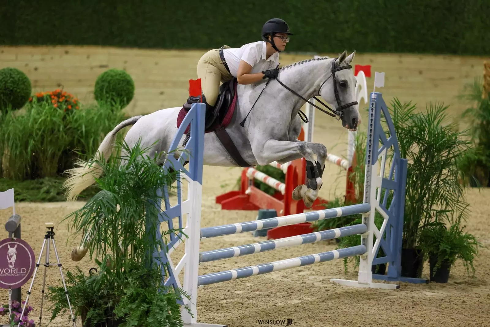 Private Horseback Riding Lessons at SNS Equine