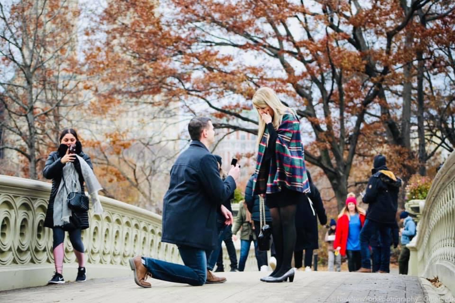 20% Off Proposal Package from VIP Central Park Tours.