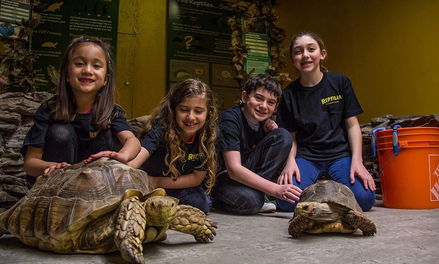 Image 3: Up to 35% Off General Admission to Reptilia