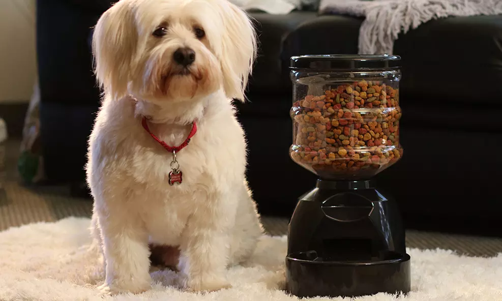TAMO Automatic Pet Feeder with a Built-in Microphone for Dogs and Cats - Primary Image