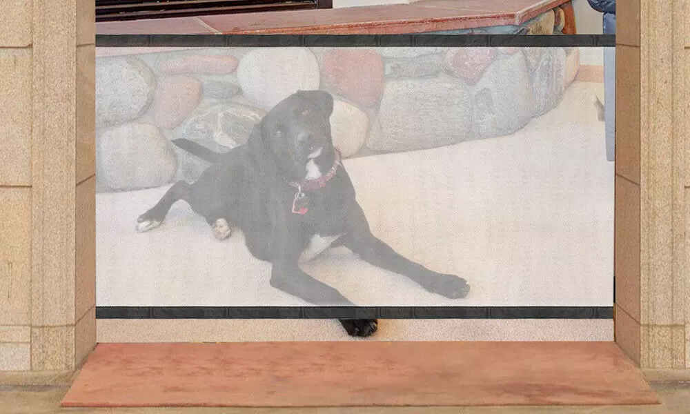 Fino a 4 reti di protezione per cani con ganci autoadesivi - Primary Image