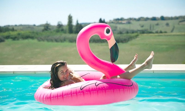 Giant pink flamingo pool sales float