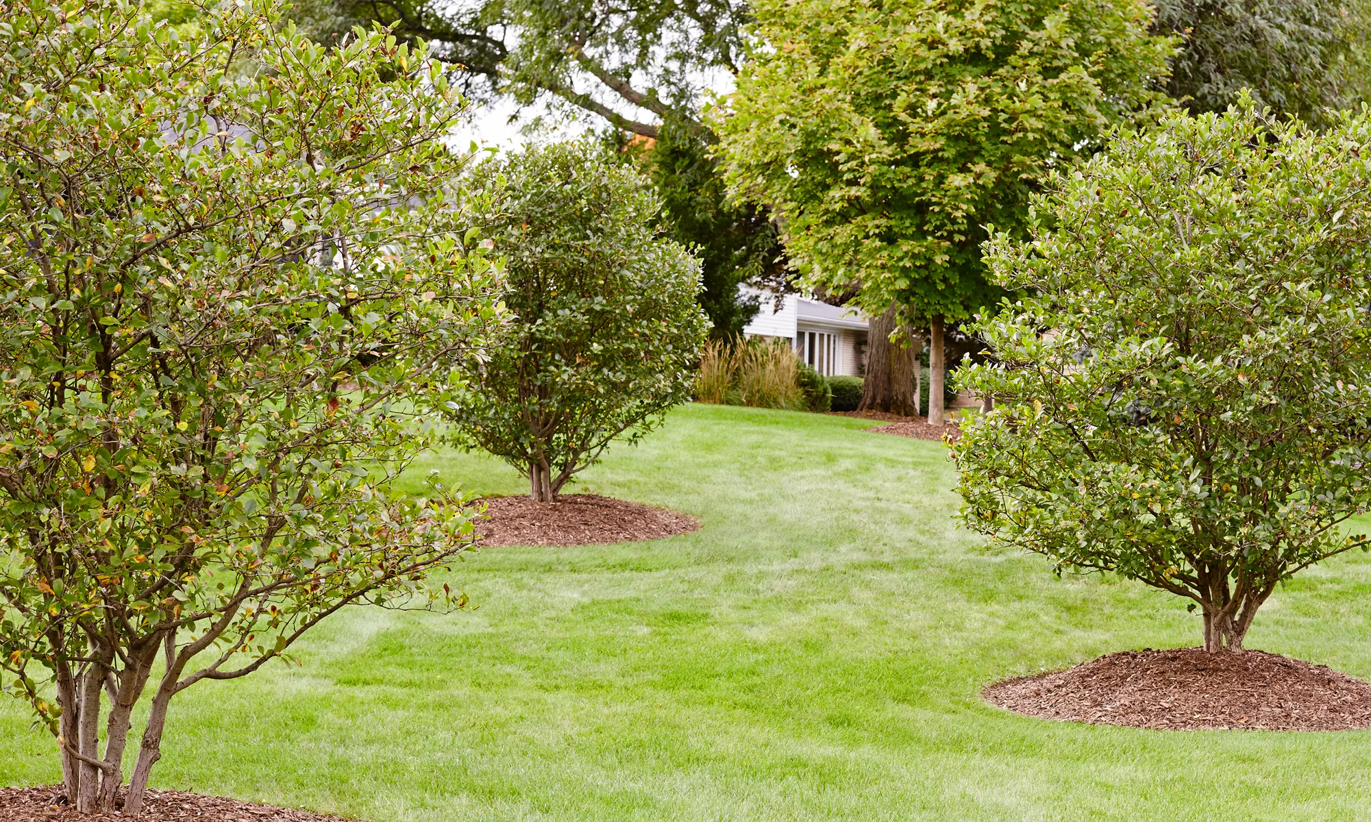 54% Off Lawn / Garden Care - Primary Image