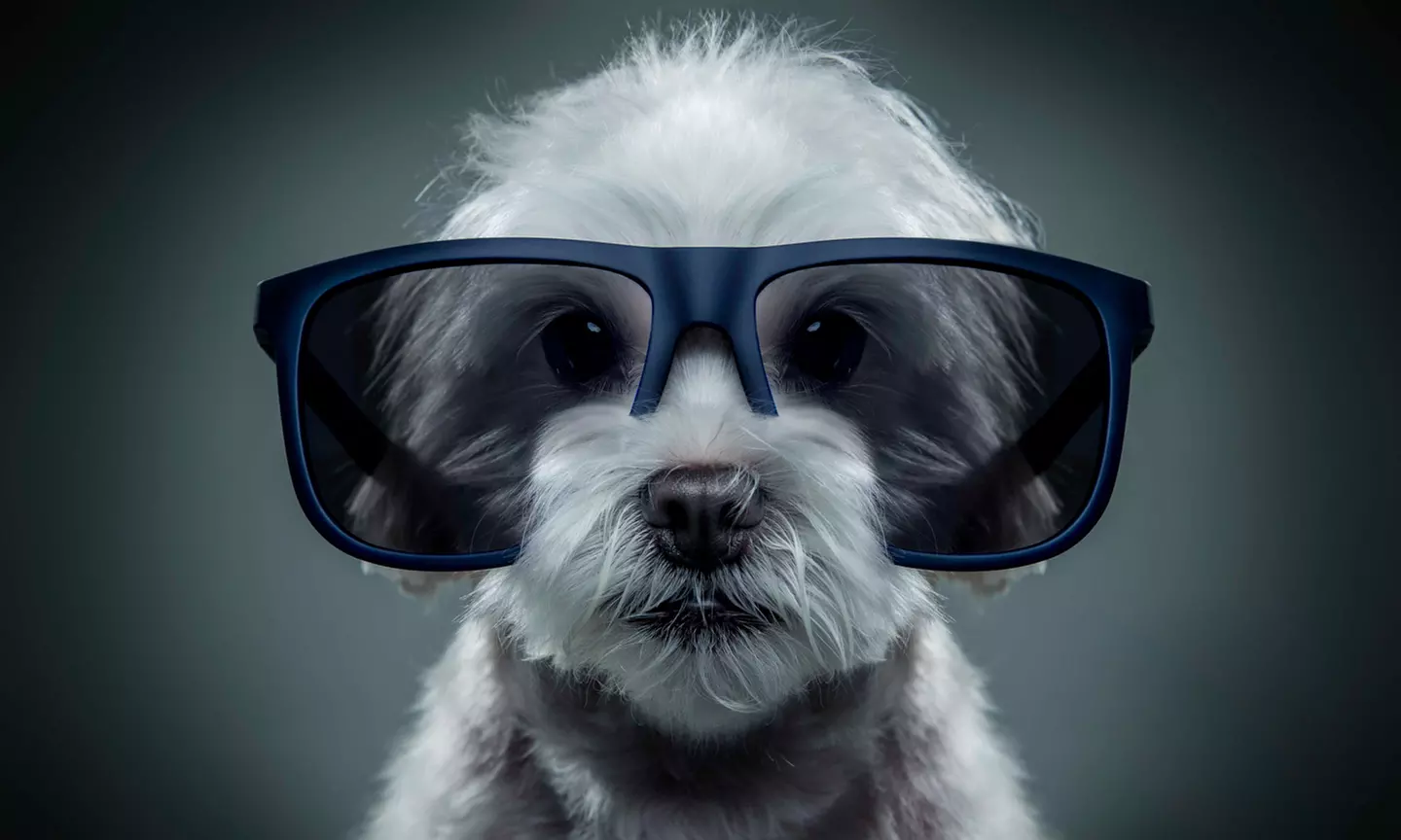 Photoshoot with Framed Image