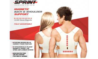 2 X Magnetic Back Posture Support