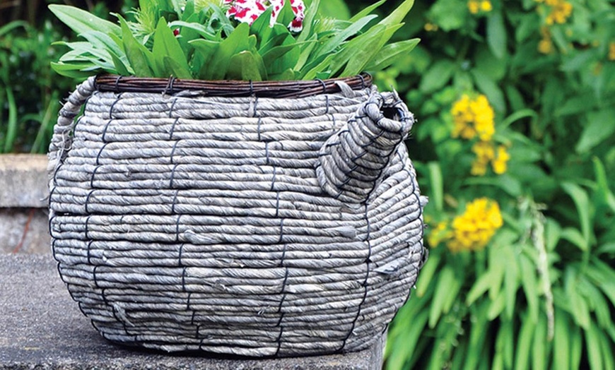 Image 3: Novelty Wicker Planters 3 Styles