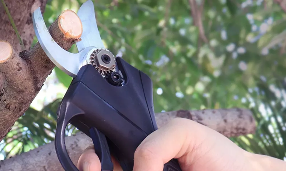 Elektrische snoeischaar met accessoires om takken en struiken snoeien - Primary Image