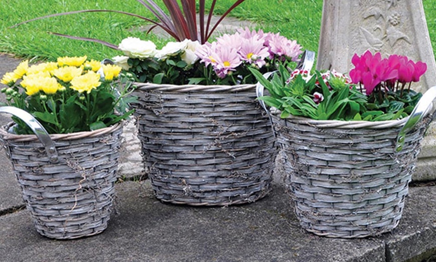 Image 2: Novelty Wicker Planters 3 Styles