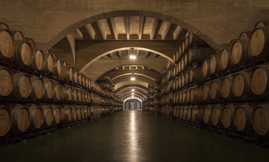 Image 2: Descubre el viñedo: visita a la bodega y cata de vinos para 2, 4 o 6