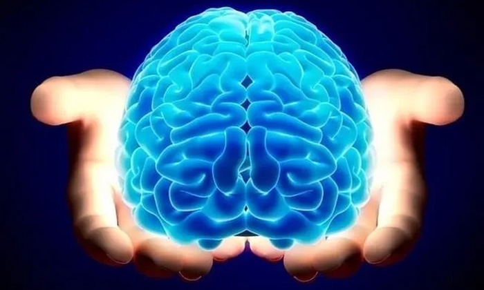 Formation en neurosciences avec Meformer