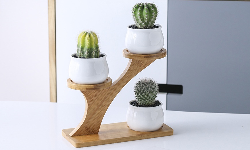 Image 9: Lot de 3 pots de fleurs en céramique pour succulentes