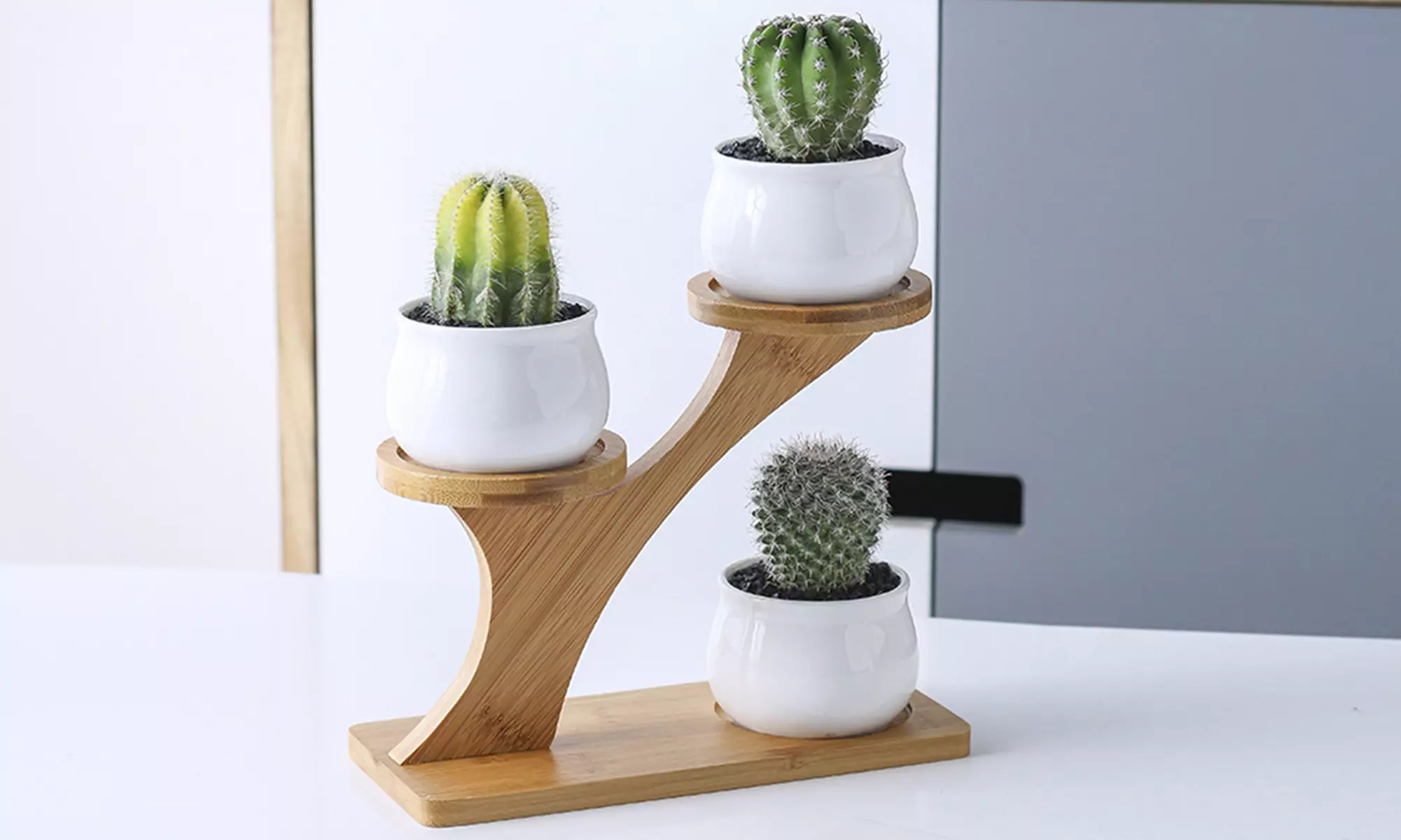 Lot de 3 pots de fleurs en céramique pour succulentes