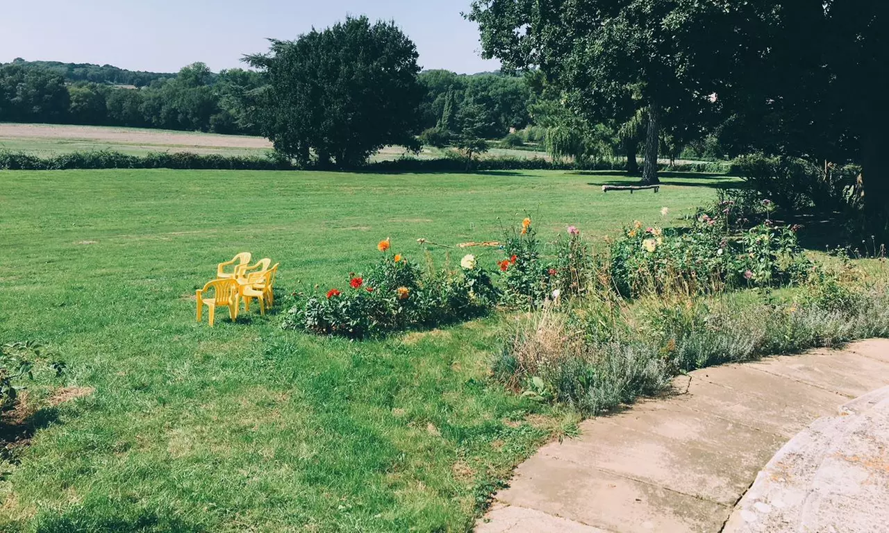 Charm in Every Step with Cute Alpacas: Walking Tour for Up to 4 People