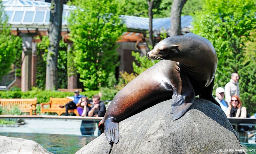 Central park hotsell zoo groupon