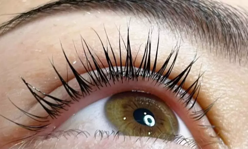 Henna lub laminacja brwi i rzęs z opcjonalnym botoksem i koloryzacją