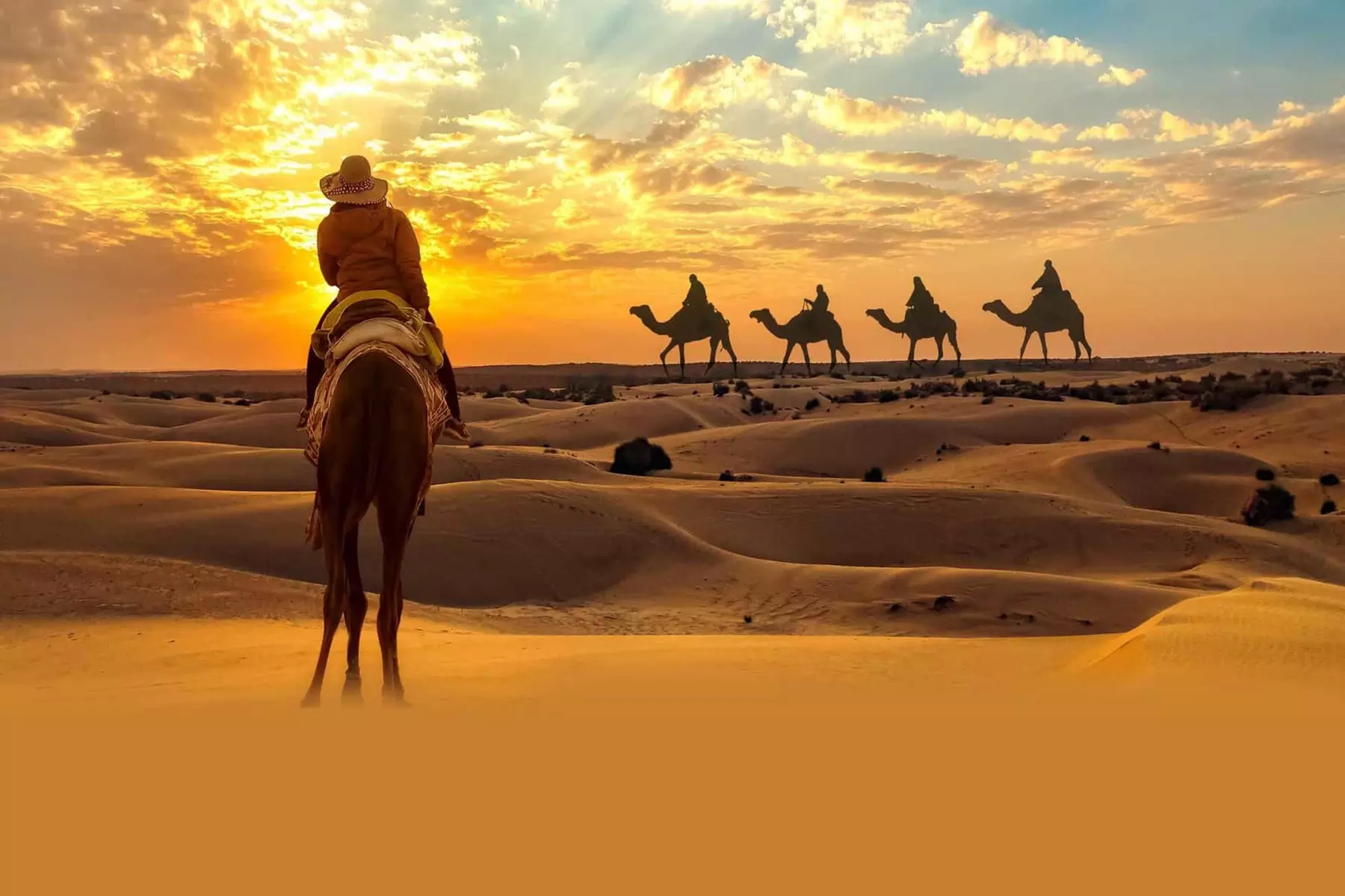 Abu Dhabi Desert Safari: Chill AED 59, Adult AED 89, Off Road Tourism
