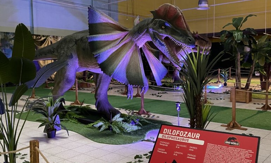 Image 6: Całodniowe bilety wstępu dla 1 osoby lub rodziny do parków DinoWorld