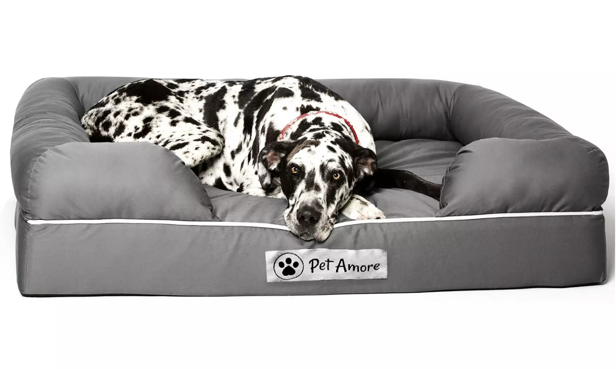 Lit imperméable pour chien en mousse à mémoire de Pet Amore - Primary Image