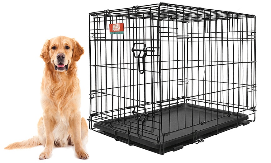 how to stop dog from chewing on metal crate