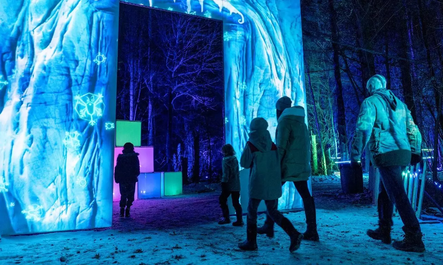Child or Adult Admission to Glenlore Trails Presents Aurora! (Up to 28% Off) - Primary Image