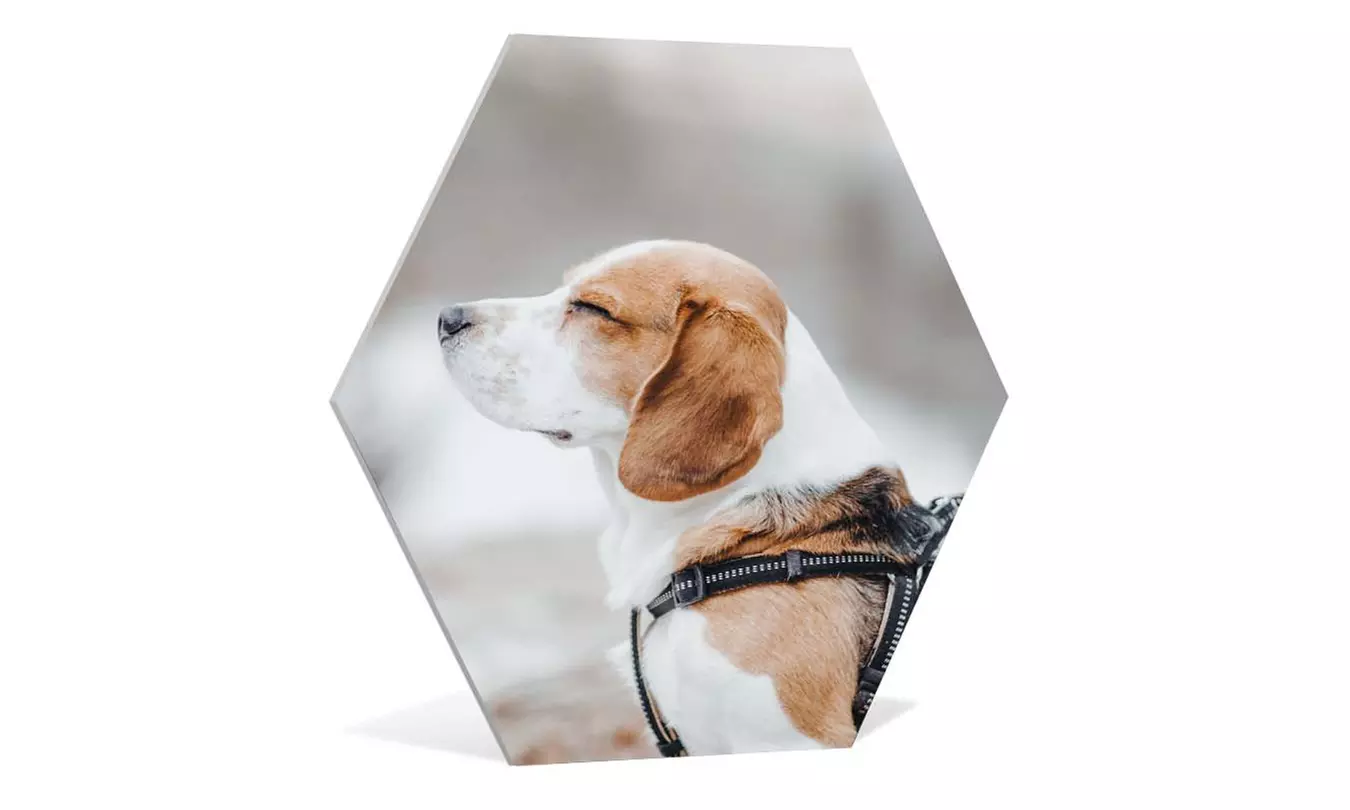 Personalisierbare Hexagon-Fotos als Set in verschiedenen Größen