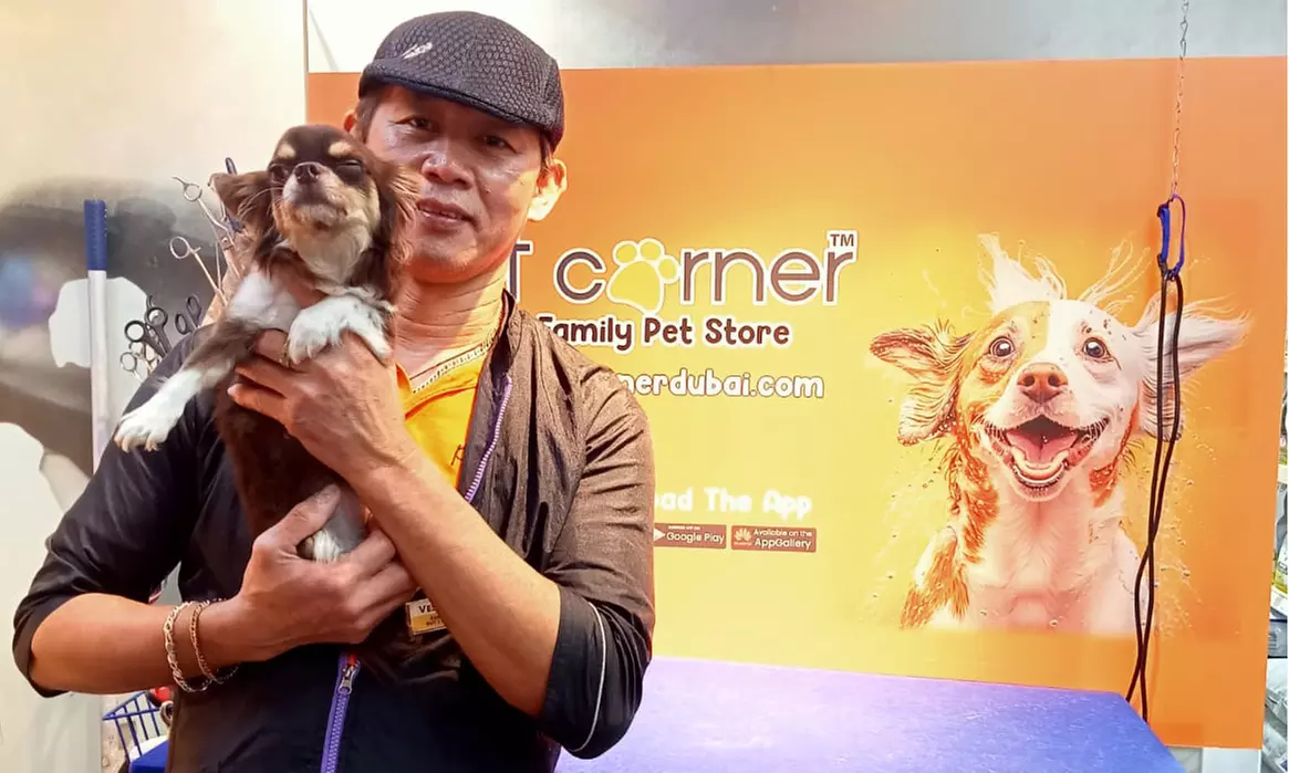 Basic or Full Grooming at Pet Corner