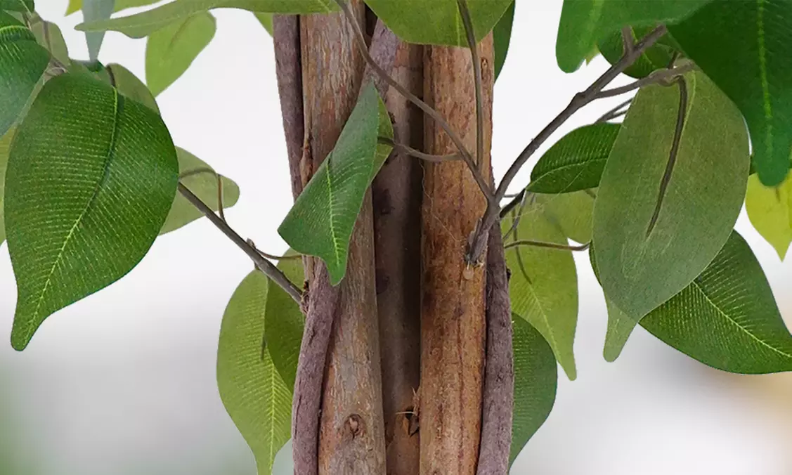 Collezione di piante finte da interno