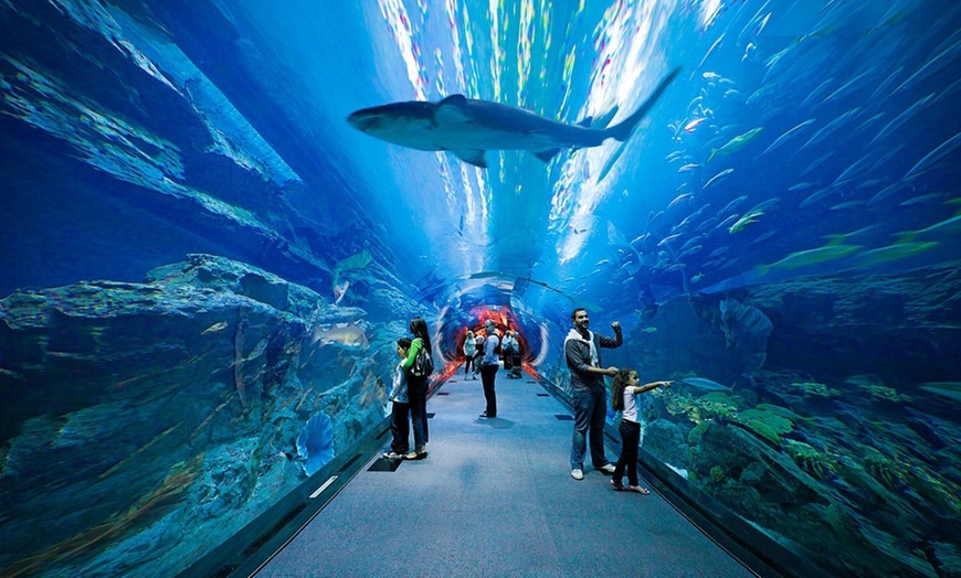 Image 5: Fascinating Aquaventure Waterpark with Lost Chambers Aquarium