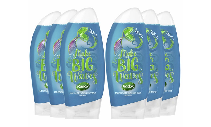 Image 17: Radox Shower Gels 250ml