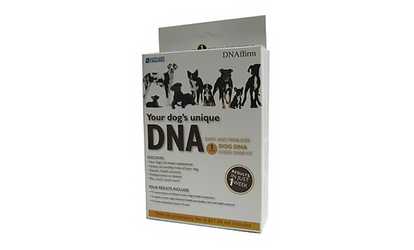 image for DNA My Dog Breed ID Test Kit