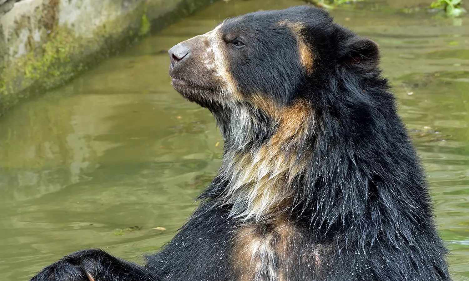 Découvrez plus de 300 animaux au zoo de Maubeuge