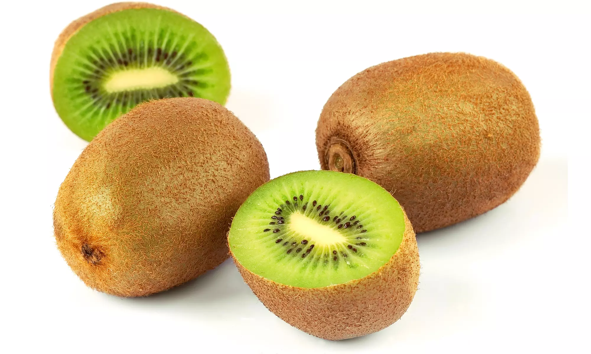 3x oder 6x Kiwi-Pflanze „Jenny"